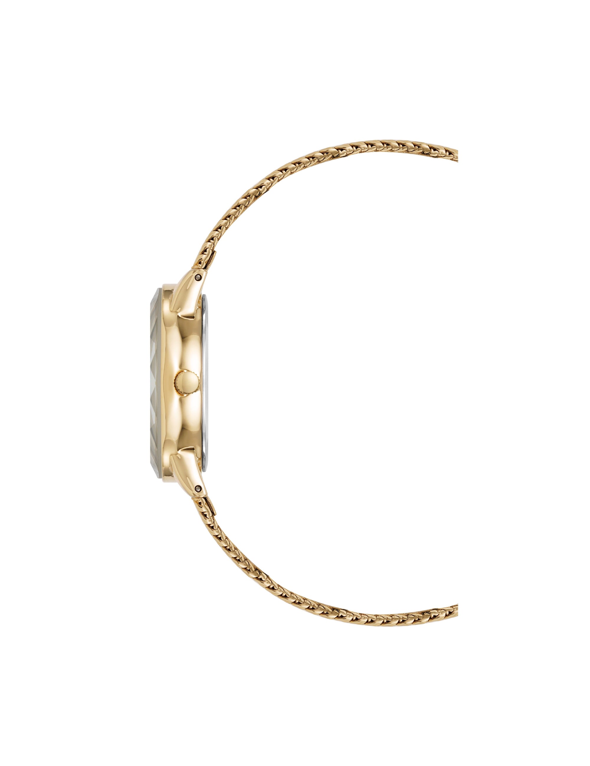 Anne Klein Enduring Oval Stainless Steel Mesh Watch