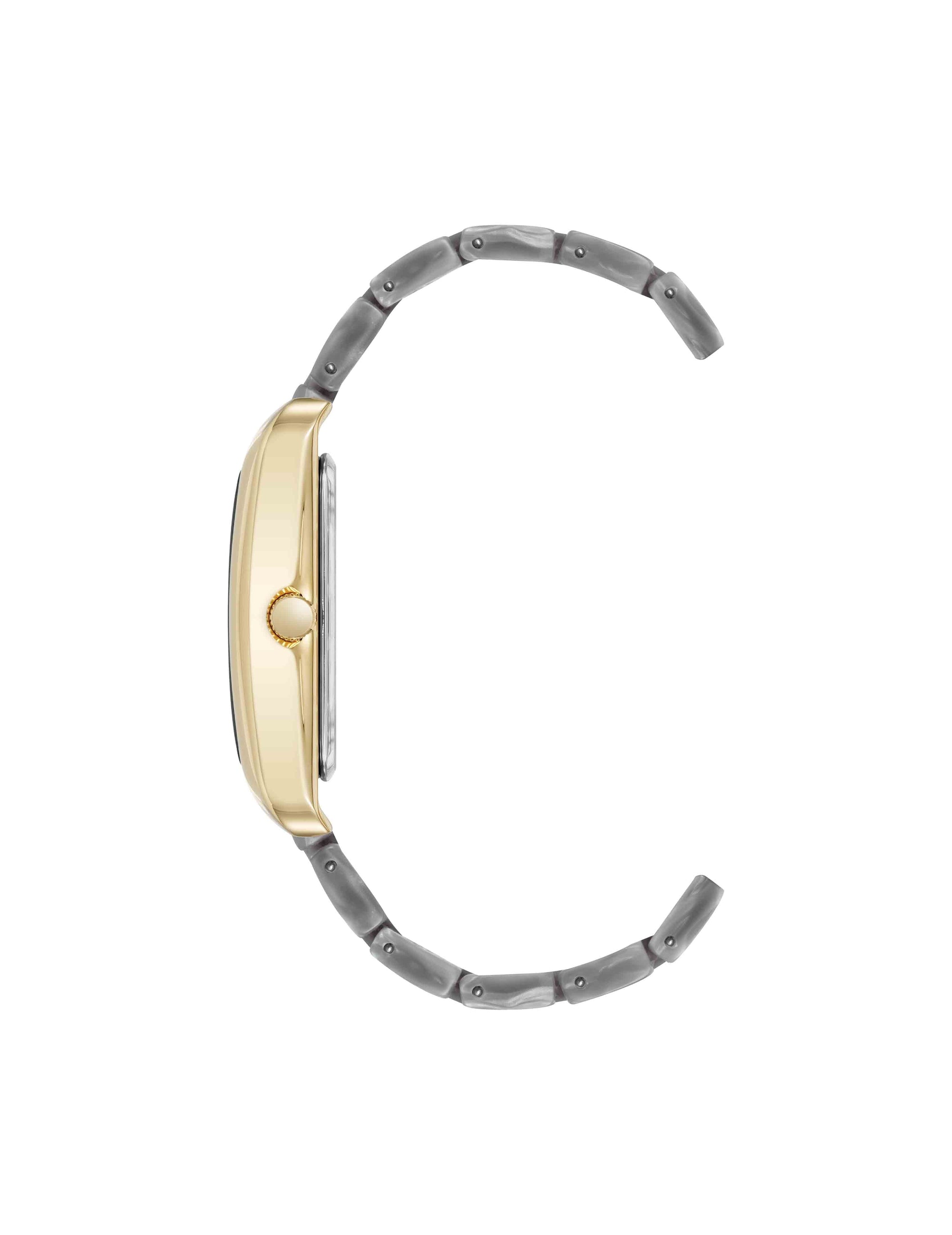 Anne Klein Delicate Rectangular Acetate Link Bracelet Watch