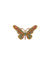 Anne Klein Gold Tone Butterfly Brooch in Gift Box