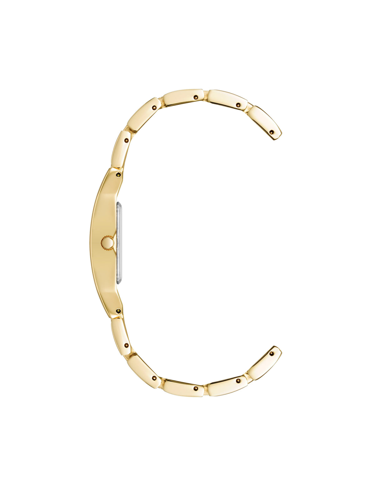 Anne Klein Petite Bracelet Watch With Case
