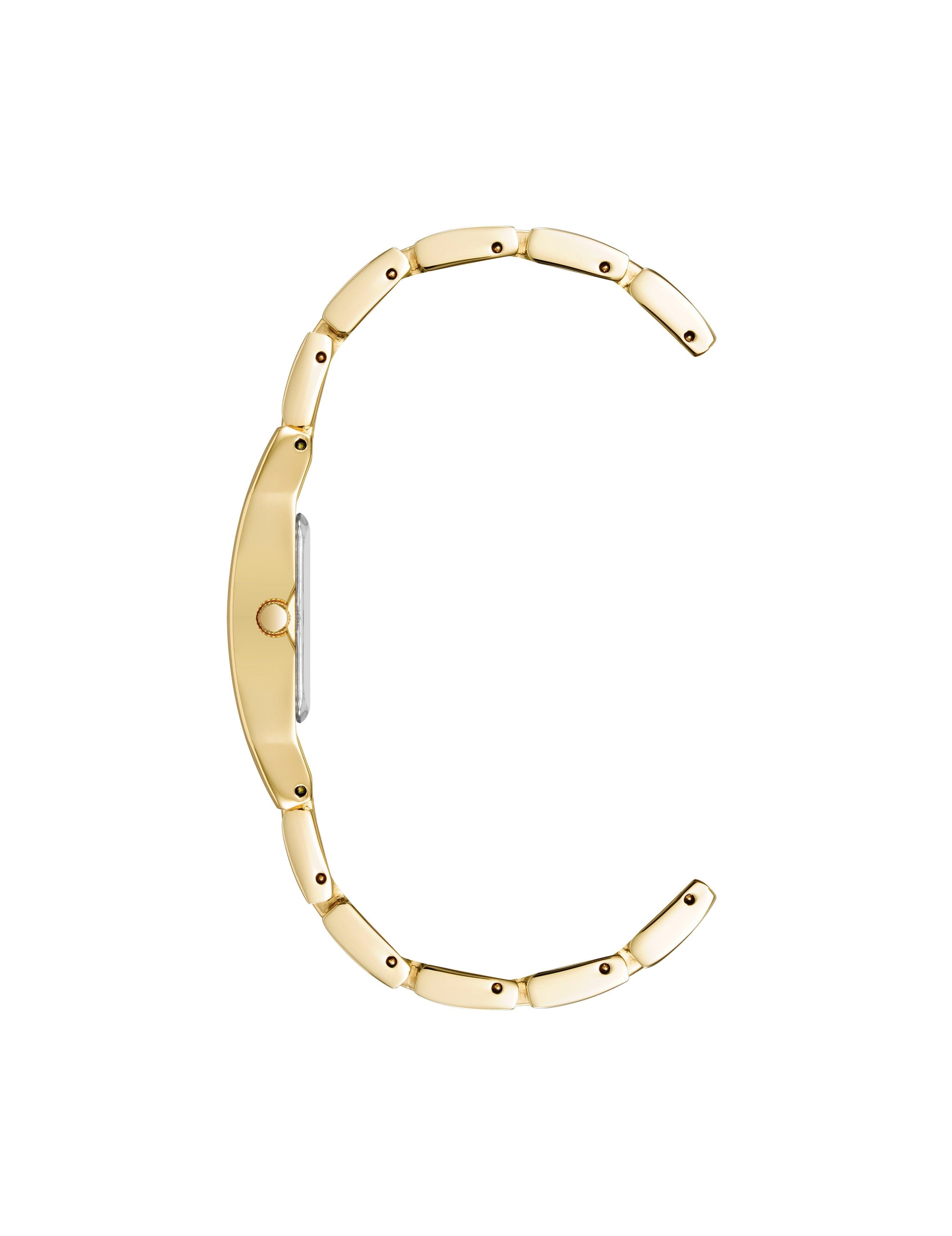 Anne Klein Petite Bracelet Watch With Case