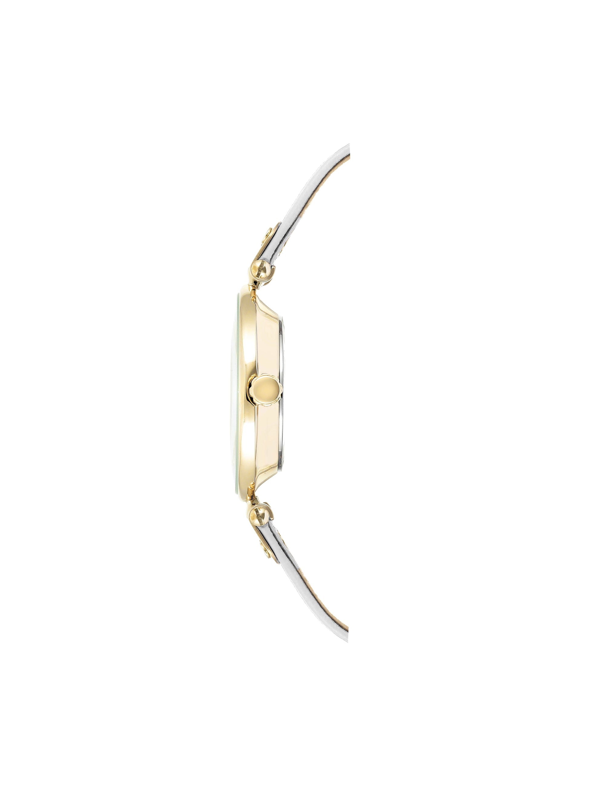 Anne Klein Leather Strap Everyday Watch