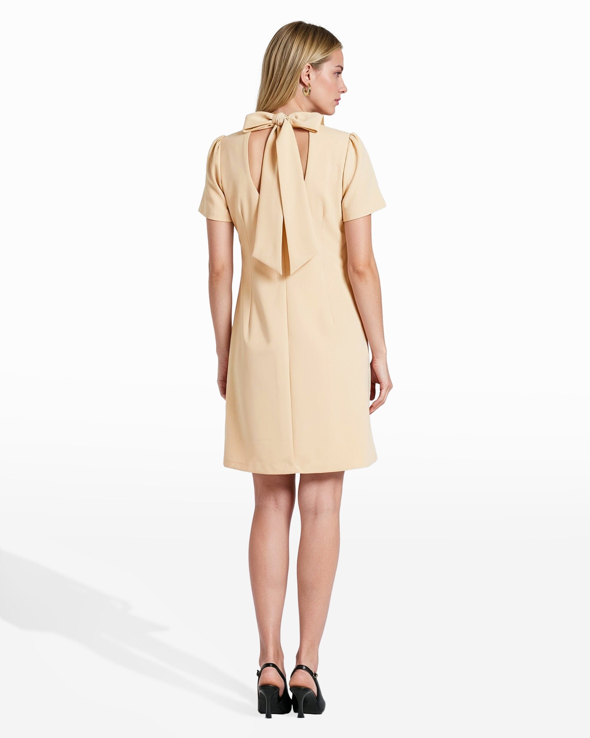 Mock Neck Shift Dress | Anne Klein Swan White/Anne Blk / 4P Mock Neck Shift Dress | Anne Klein Swan White/Anne Blk / 4P