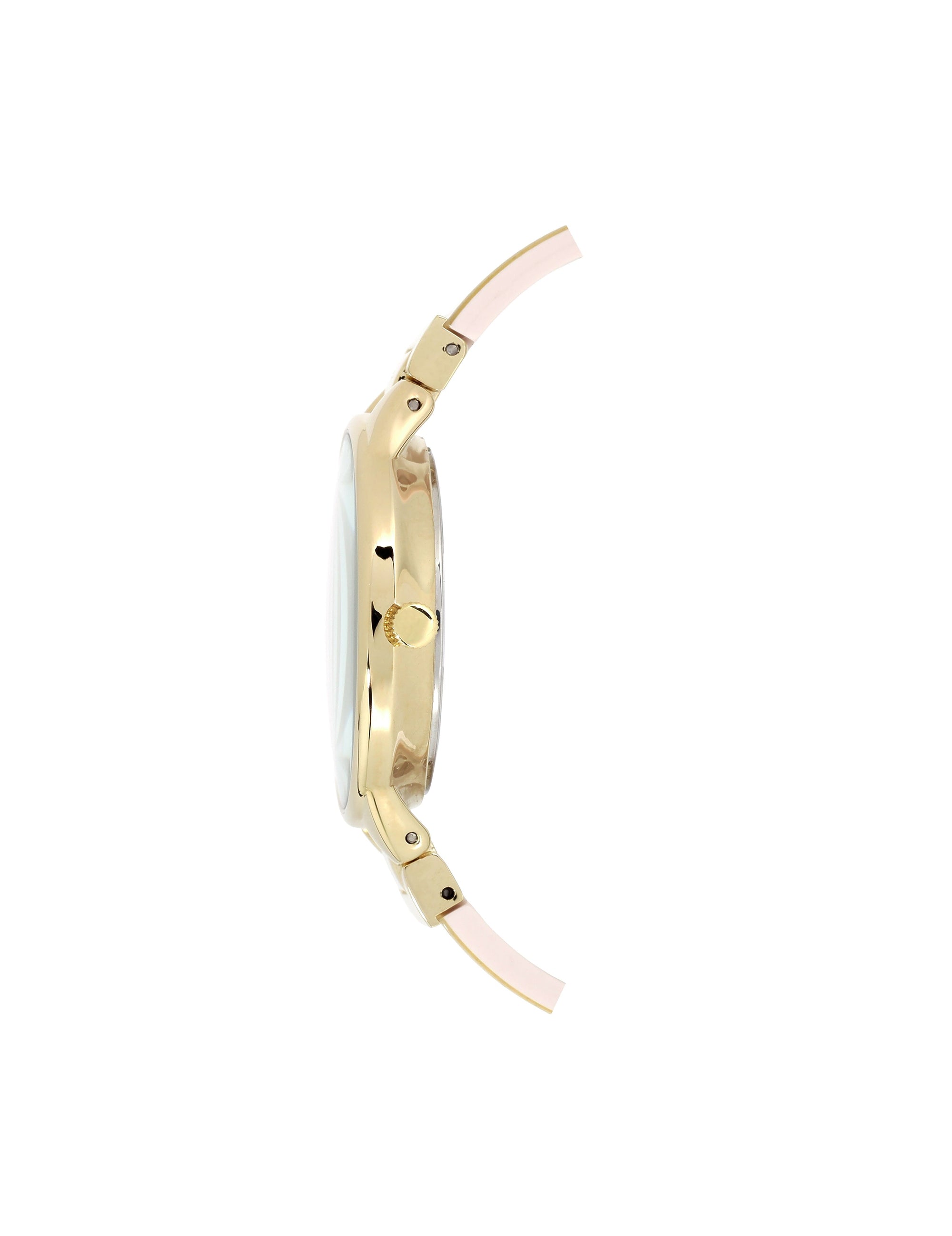 Anne Klein Glitter Resin Bangle Watch