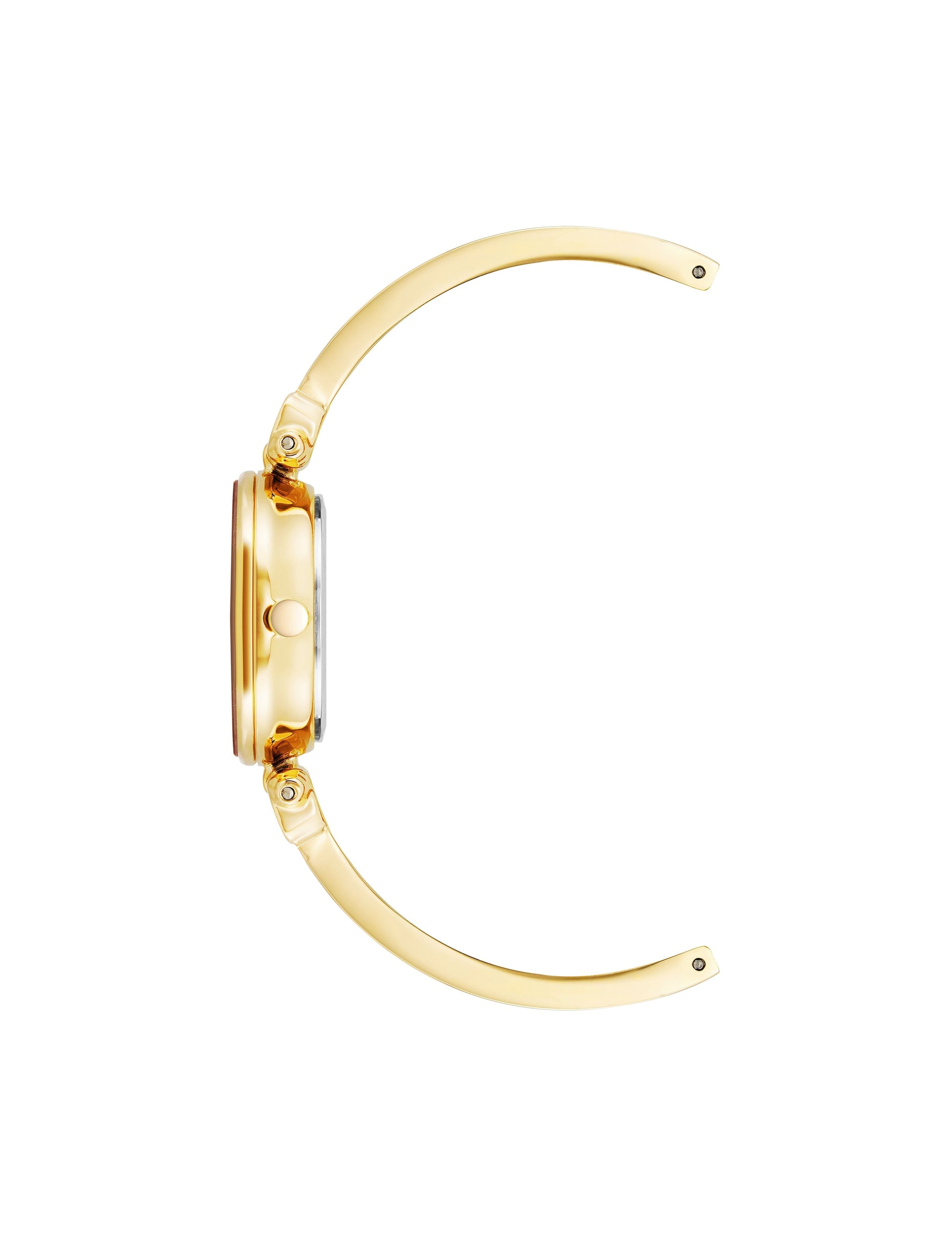 Anne Klein Diamond Accent Bangle Watch
