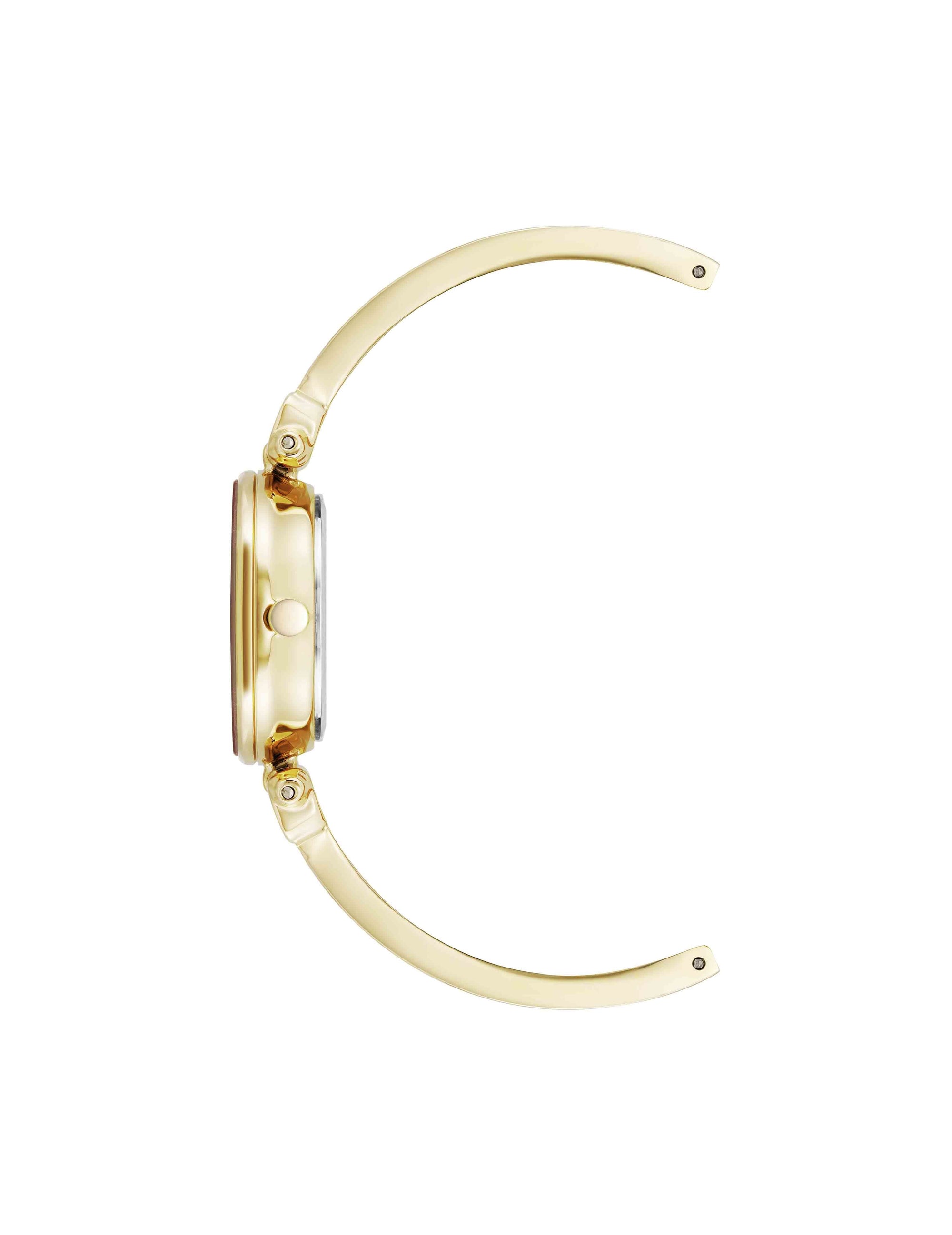 Anne Klein Diamond Accent Bangle Watch