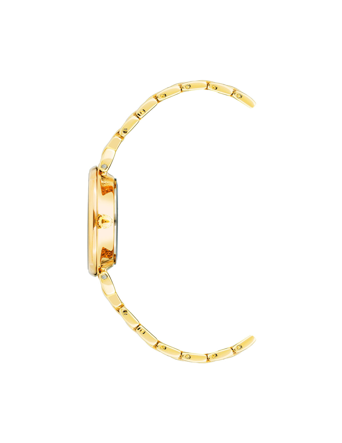 Anne Klein Roman Numeral Dial Watch