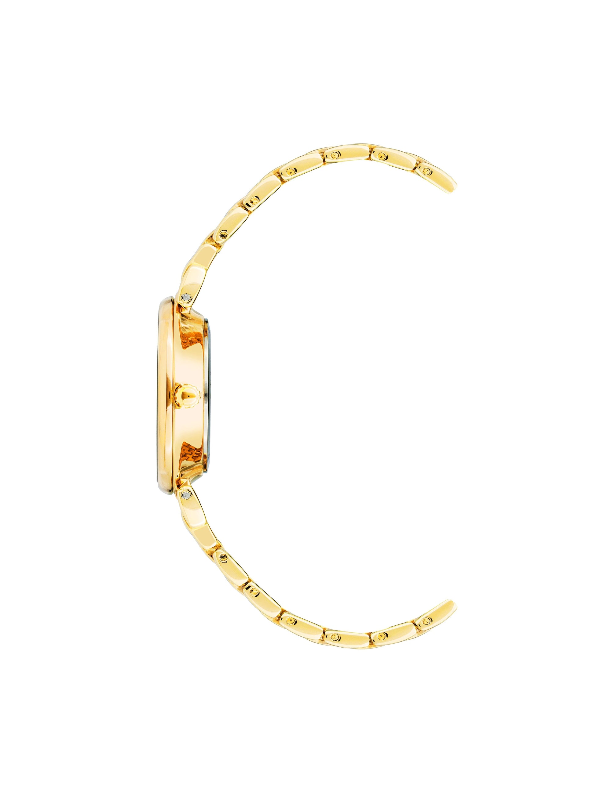 Anne Klein Roman Numeral Dial Watch