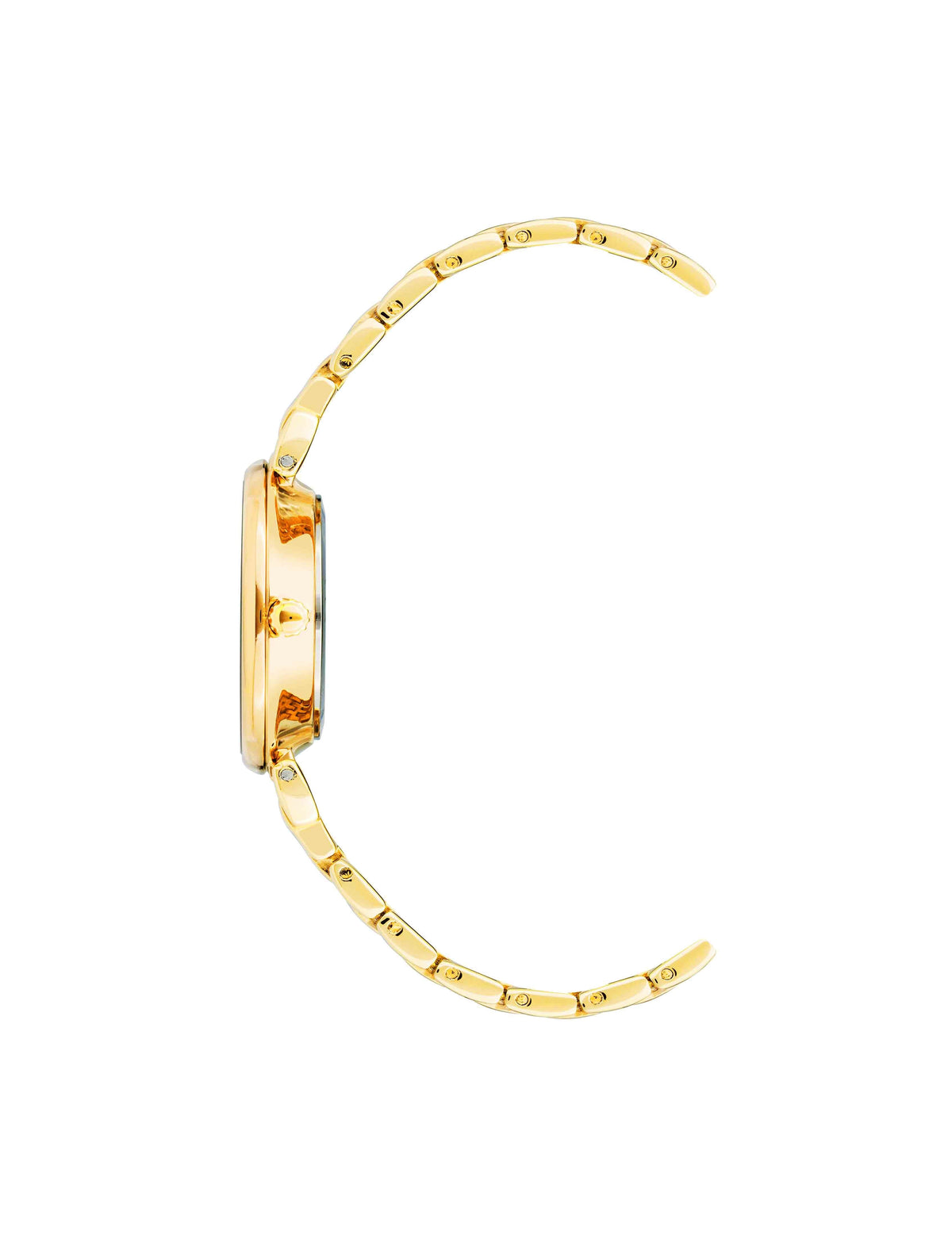 Anne Klein Roman Numeral Dial Watch