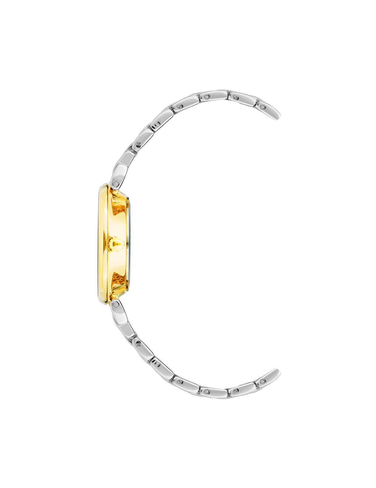 Anne Klein Roman Numeral Dial Watch