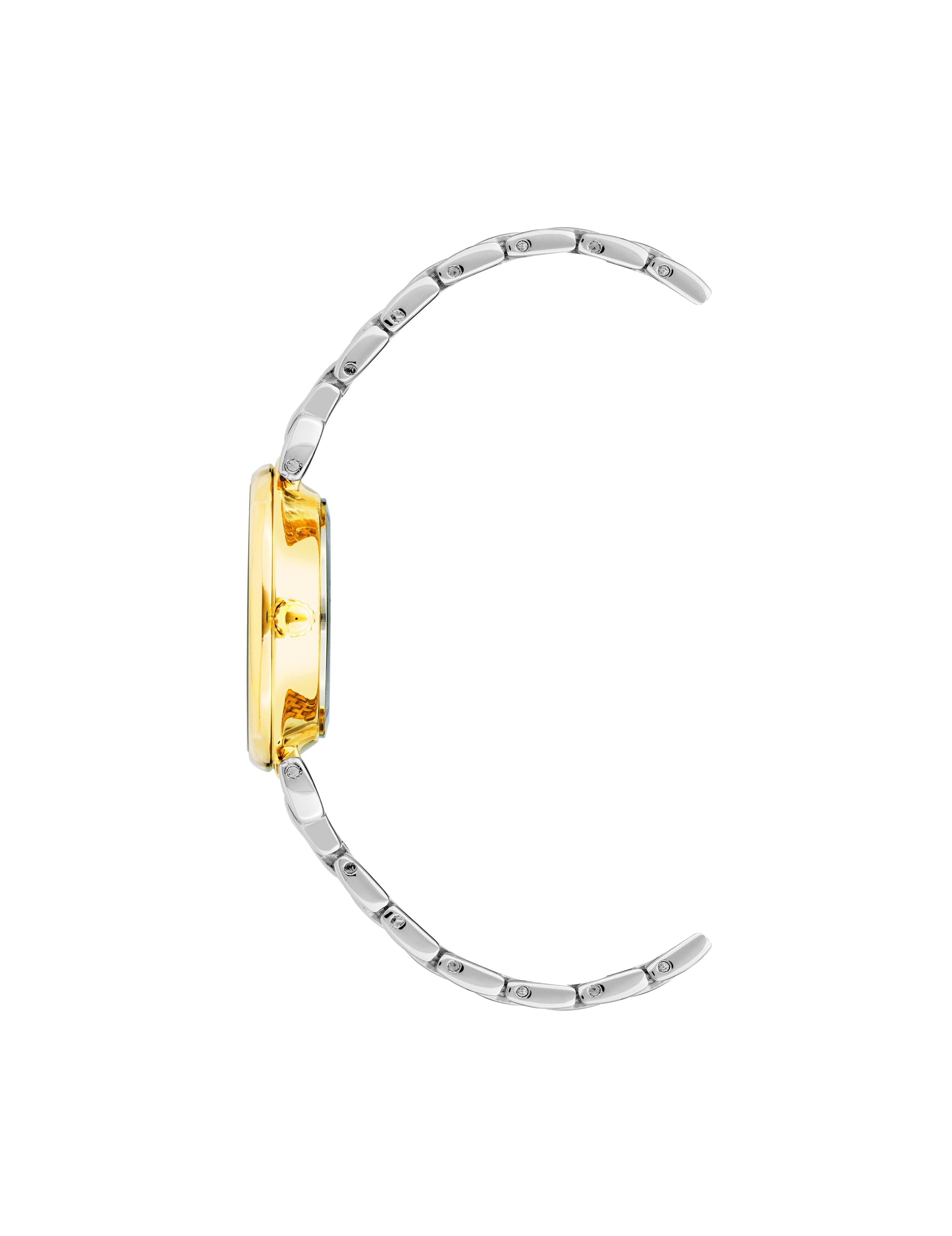 Anne Klein Roman Numeral Dial Watch