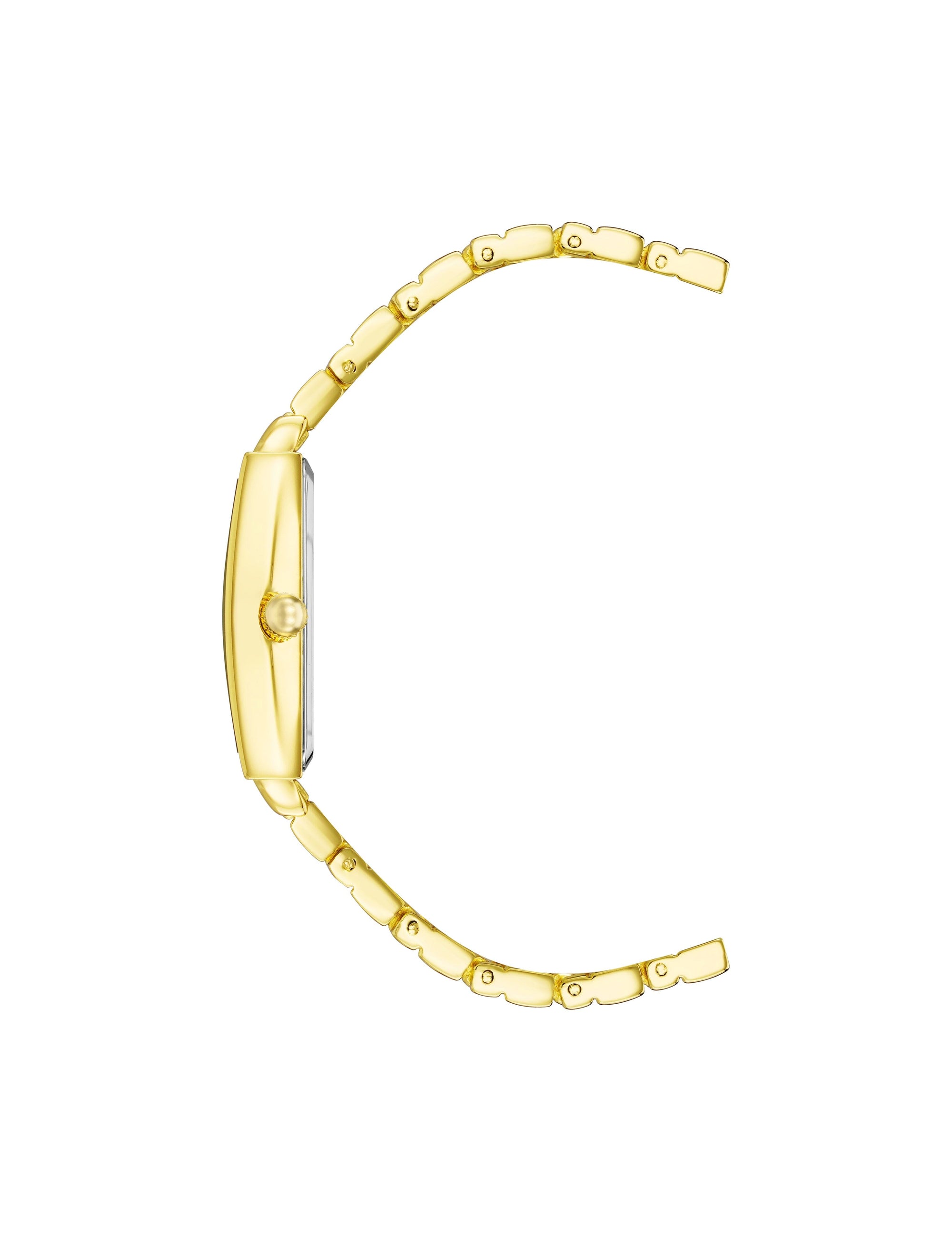 Anne Klein Everyday Chic Bracelet Watch