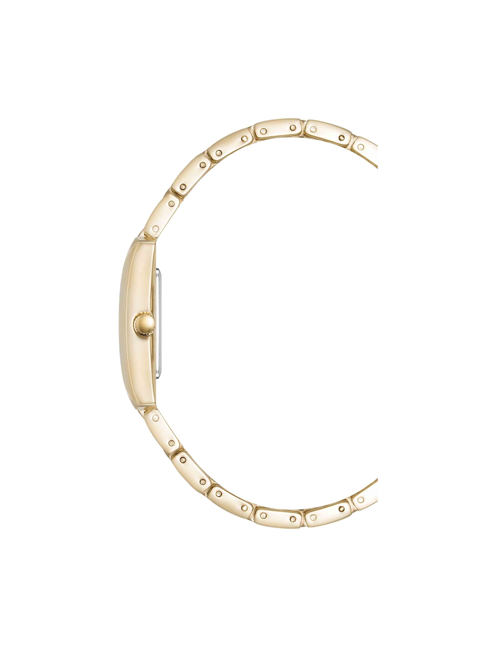 Anne Klein  Classic Rectangular Roman Numeral Watch