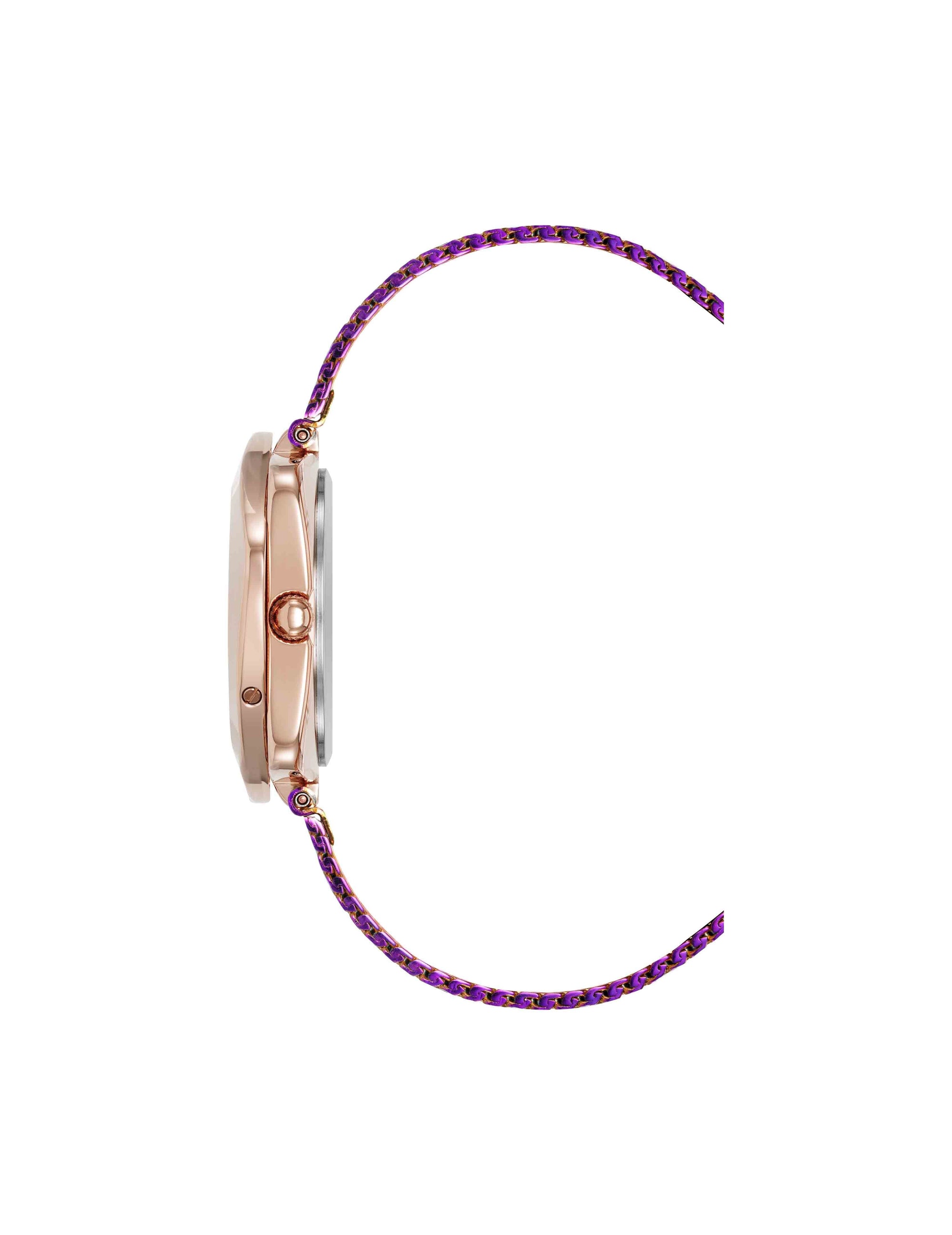Anne Klein Elegant Hidden Crystal Watch