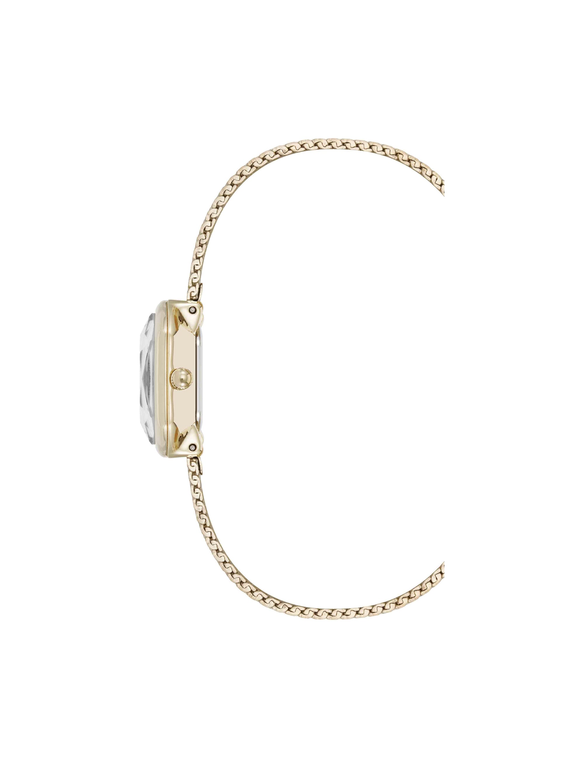 Anne Klein Estate Octagonal Stainless Steel Mesh Watch