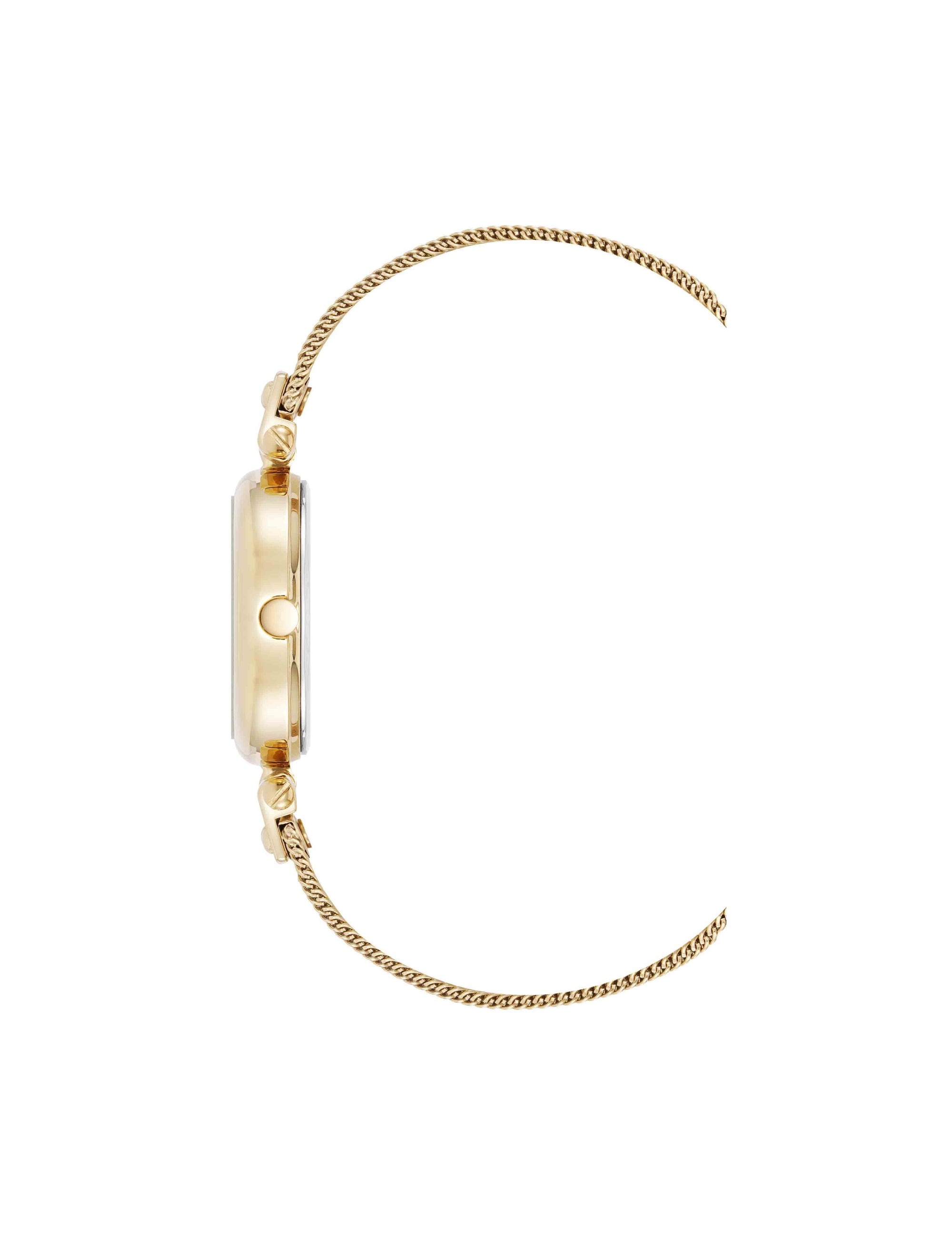 Anne Klein Oval Mesh Bracelet Watch