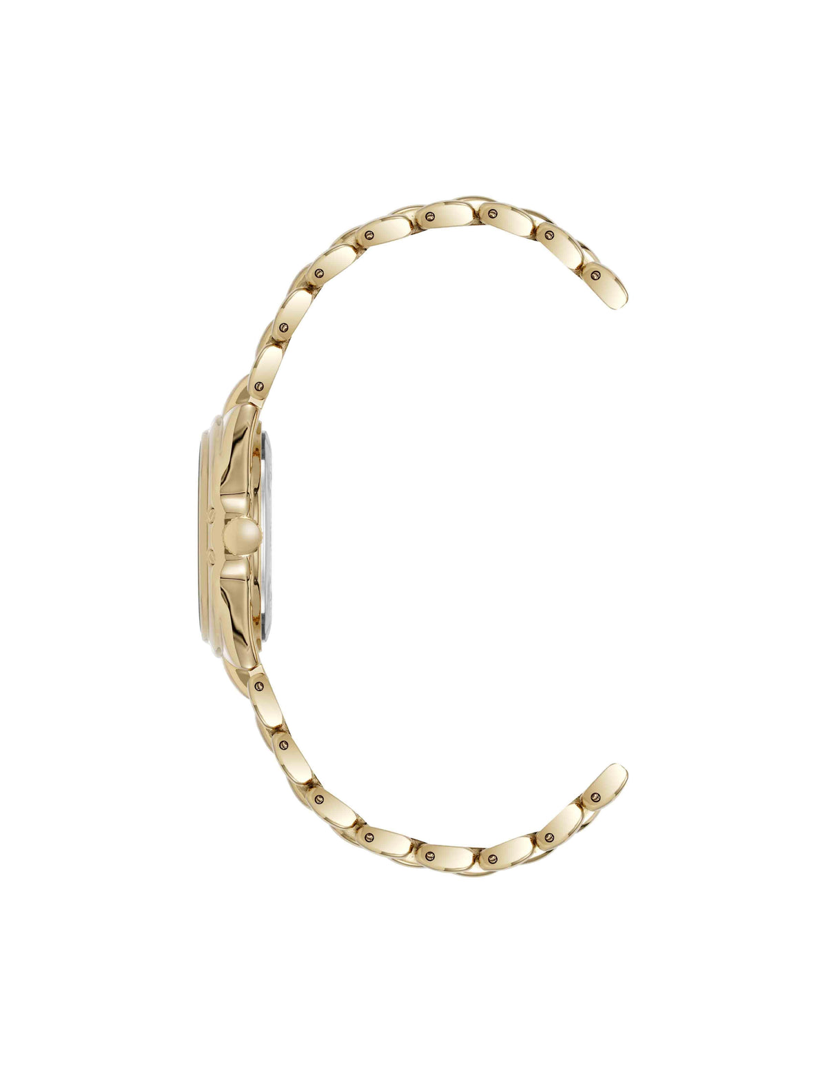 Anne Klein Modern Classic Watch