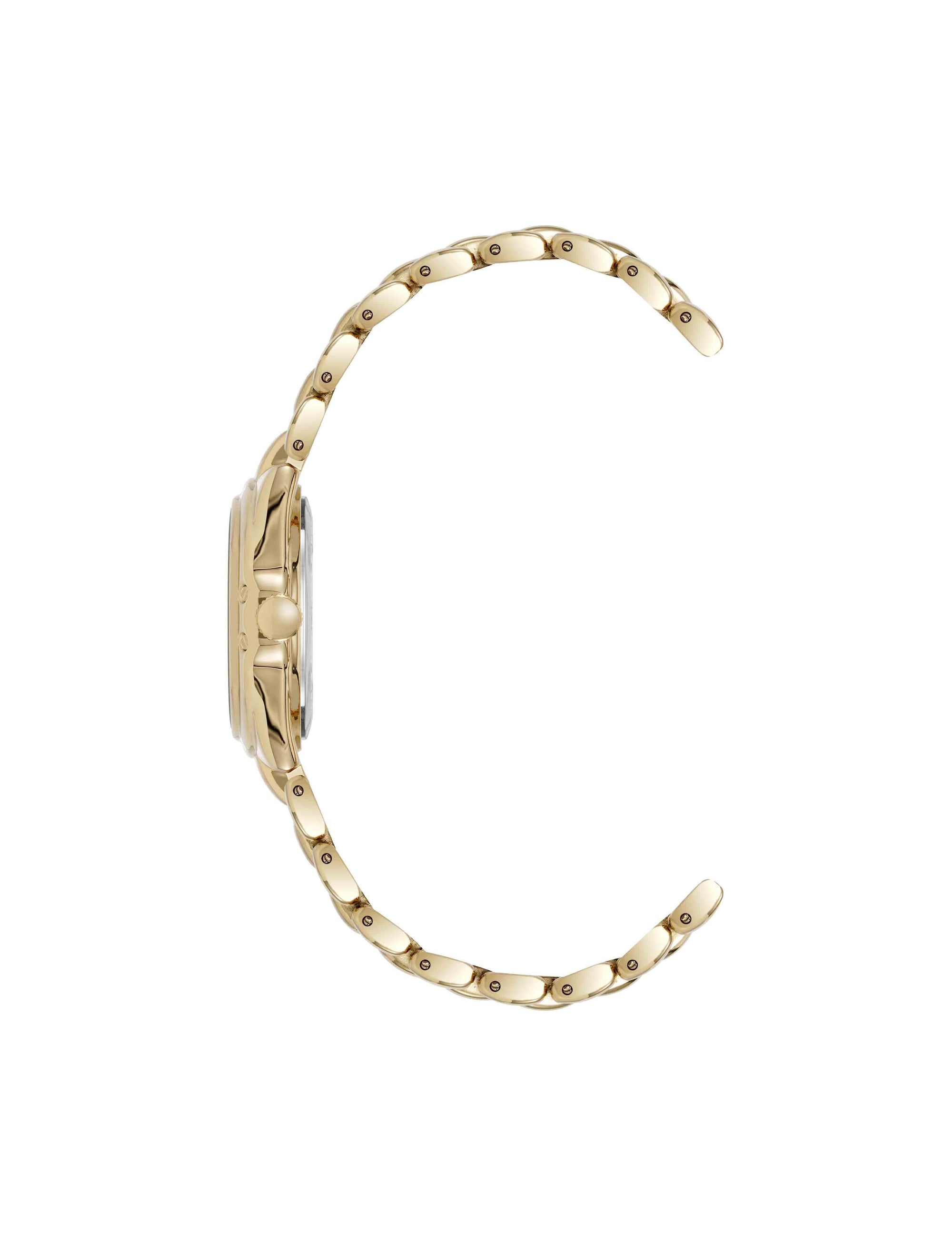 Anne Klein Modern Classic Watch