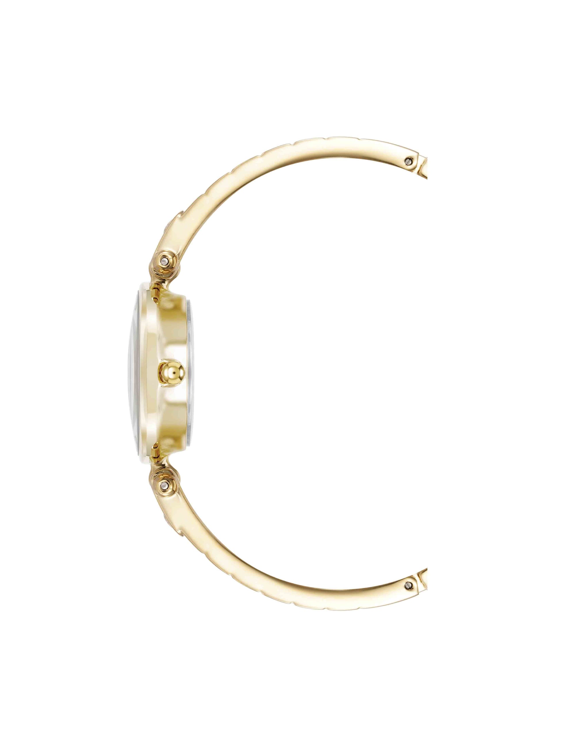 Anne Klein Crystal Accented Bangle Watch