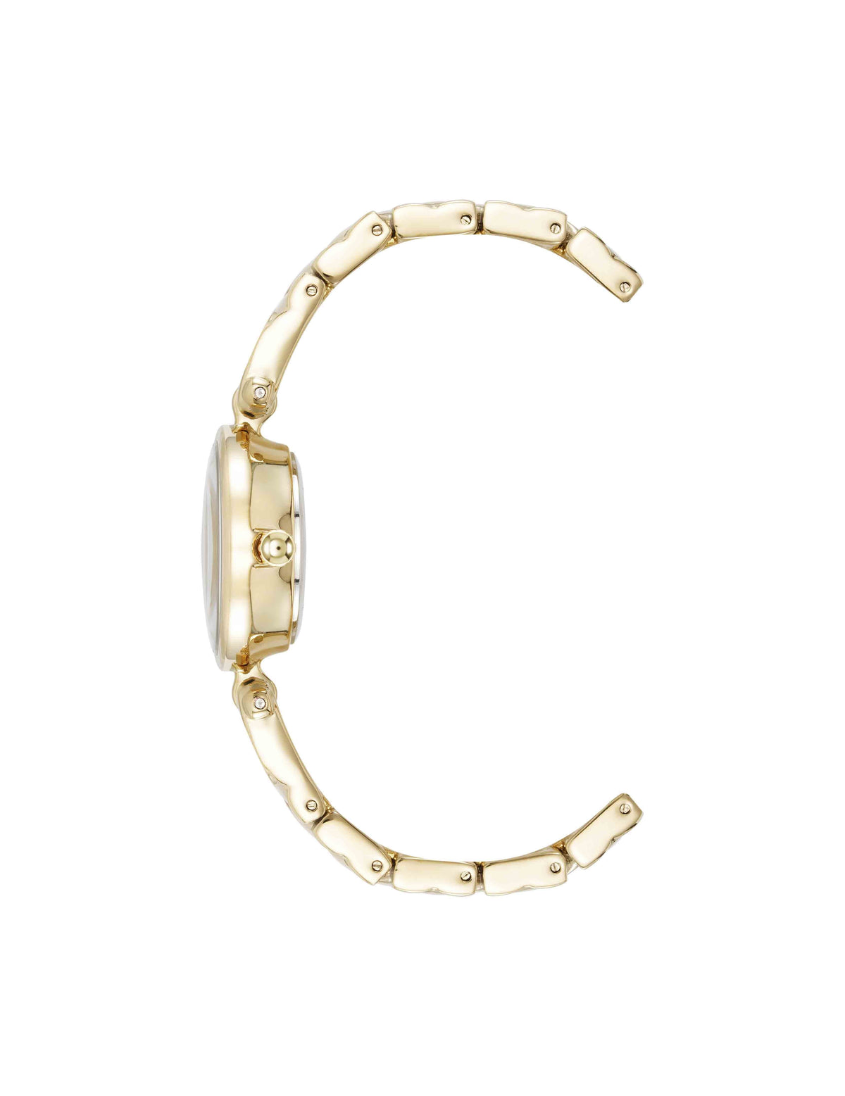 Anne Klein Crystal Accented V-Link Watch