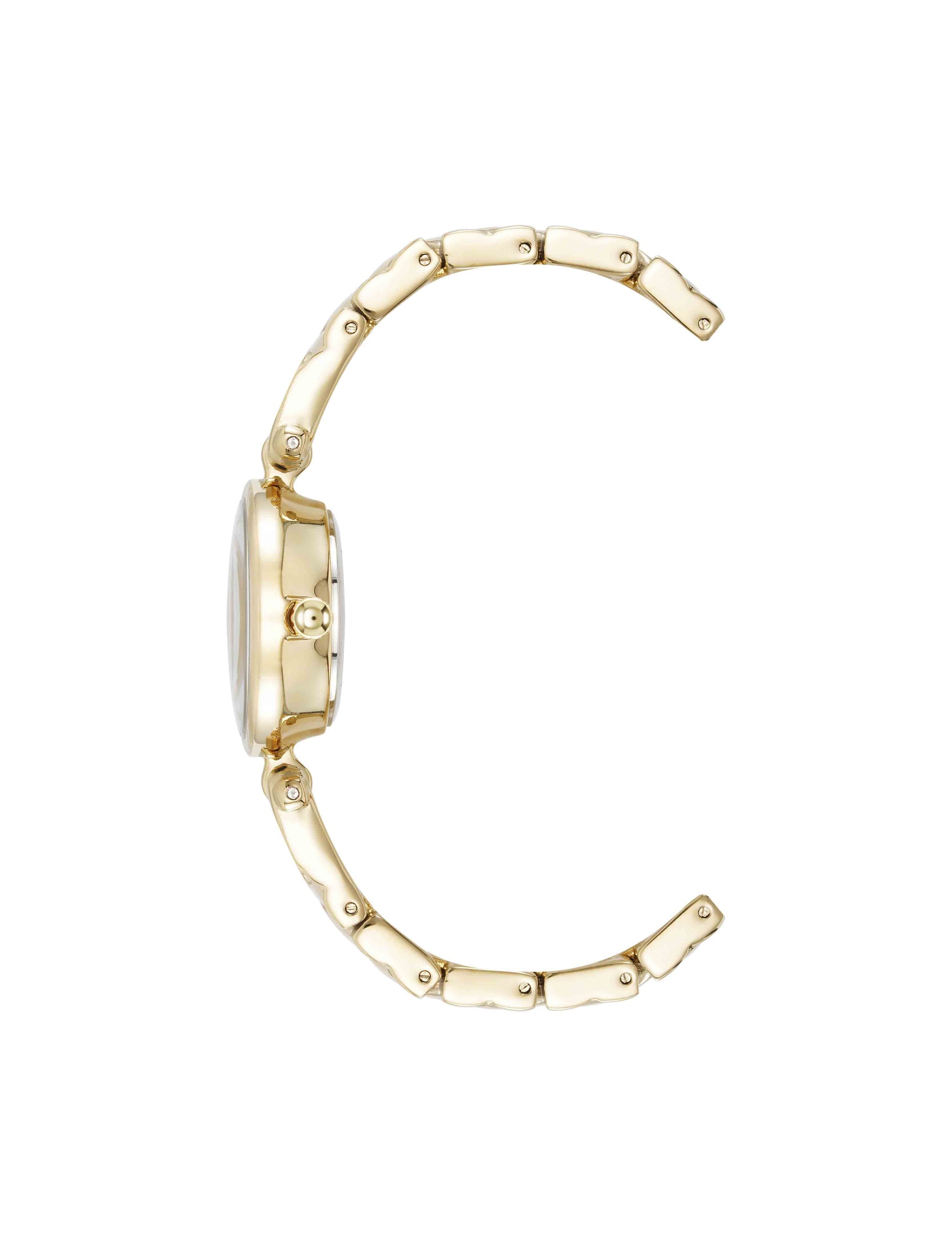 Anne Klein Crystal Accented V-Link Watch