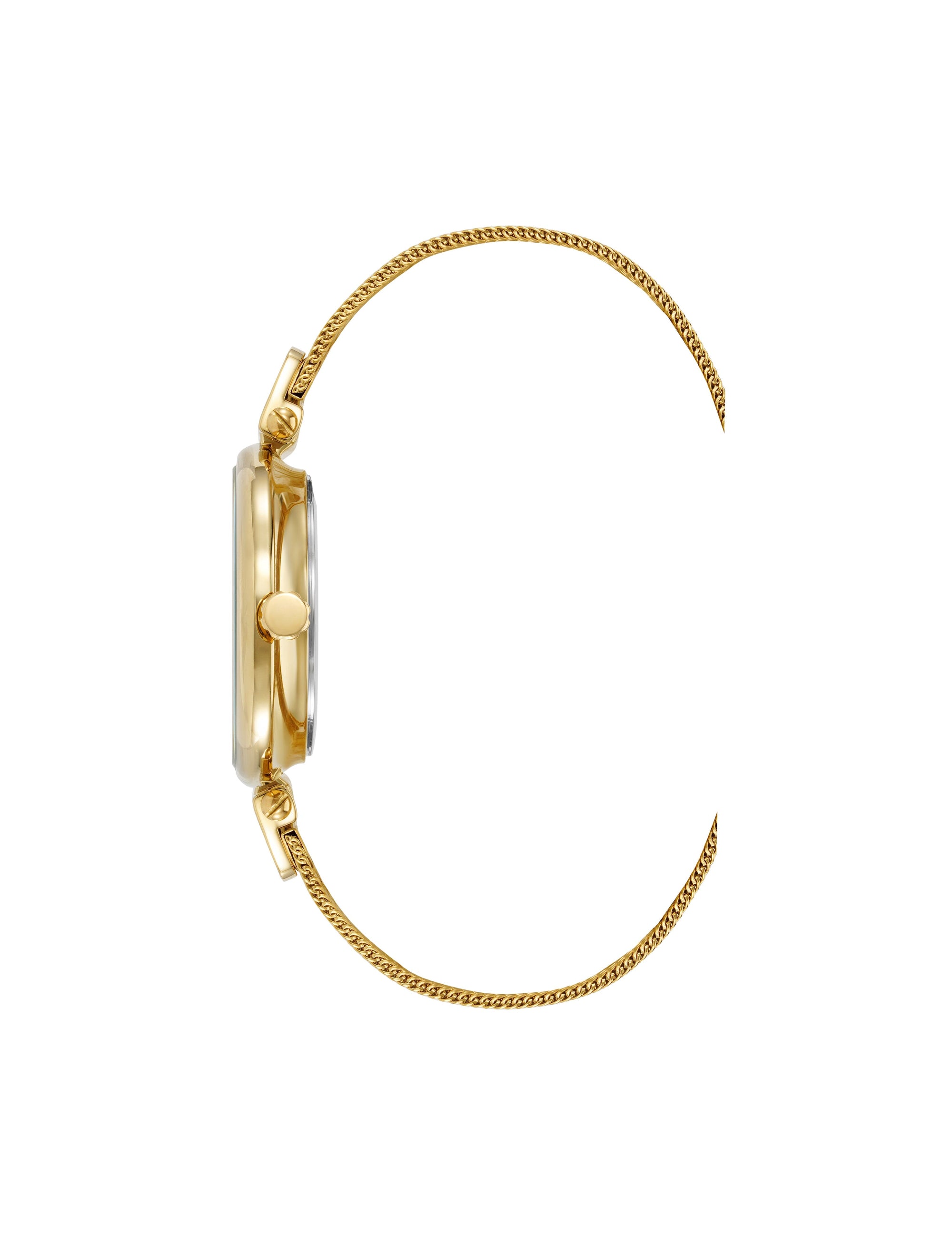 Anne Klein Butterfly Dial Mesh Bracelet Watch
