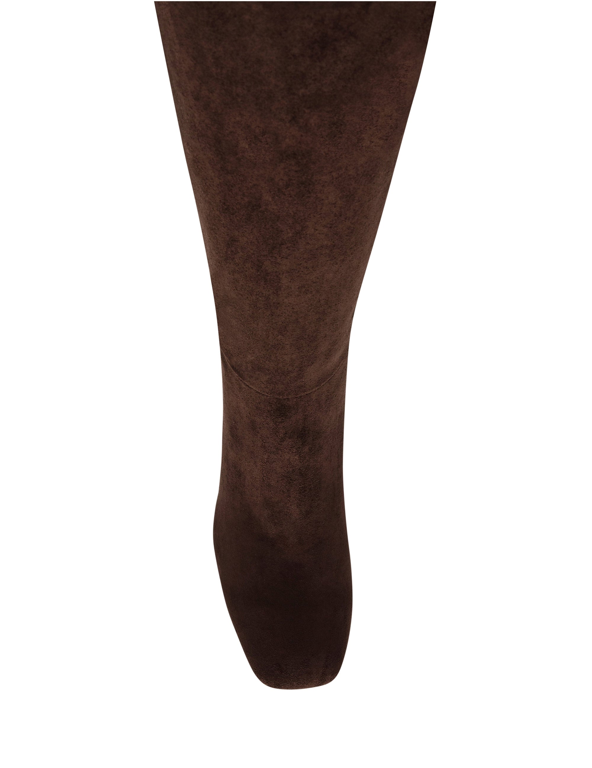 Anne Klein Lory Tall Boot