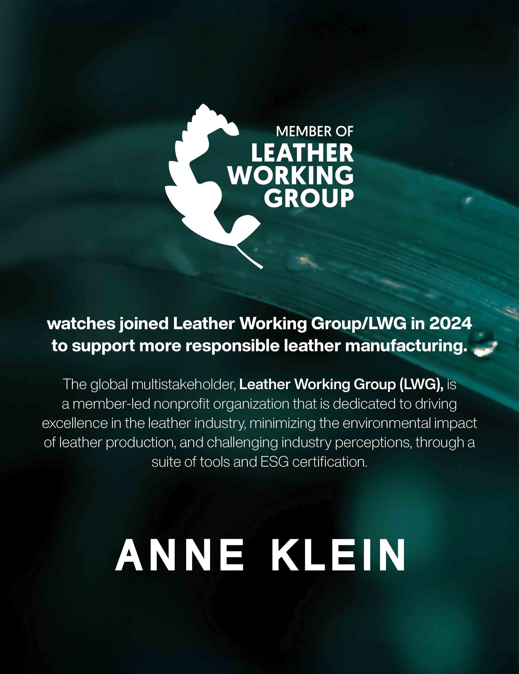 Anne Klein Consider It Sustainable Leather Strap Watch