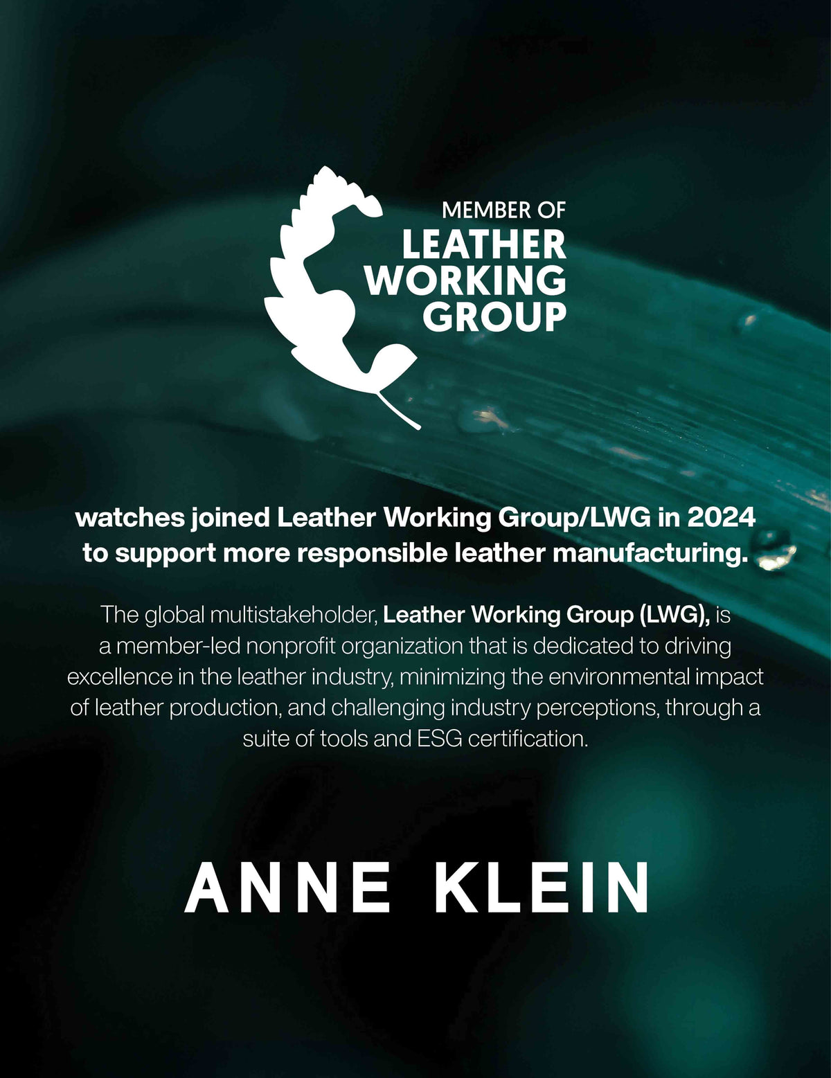 Anne Klein Consider It Sustainable Leather Strap Watch