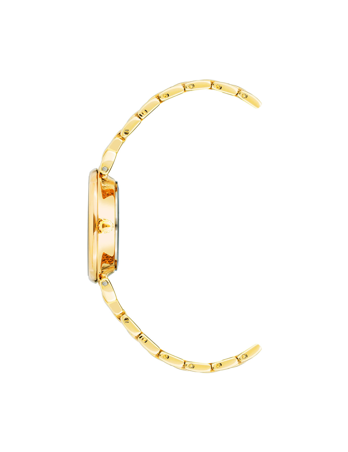 Anne Klein Roman Numeral Dial Watch