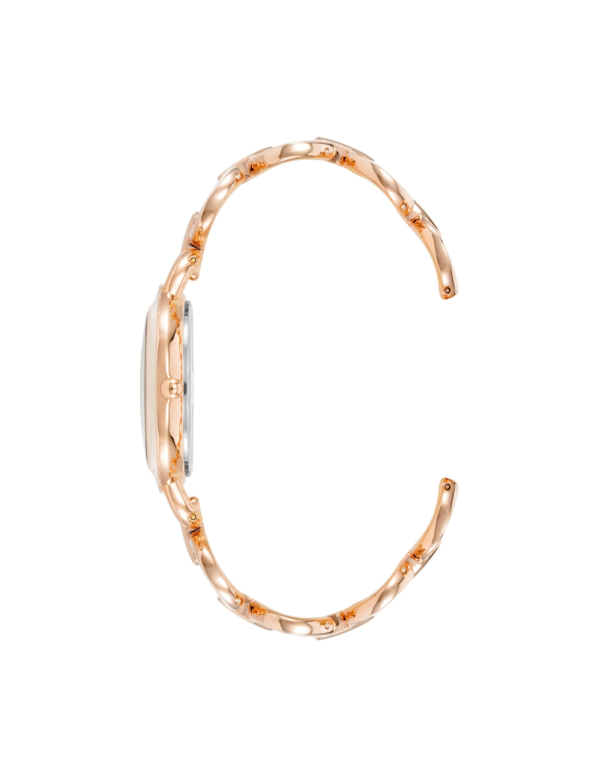 Anne Klein Blush Pink/ Rose Gold Tone Boyfriend Circular Link Bracelet Watch Set