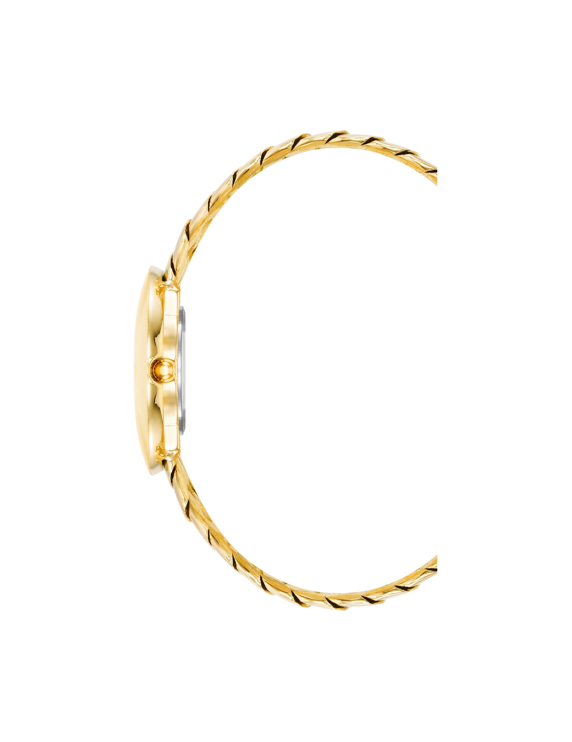 Anne Klein Silver-Tone/ Gold-Tone Double Chain Bracelet Watch