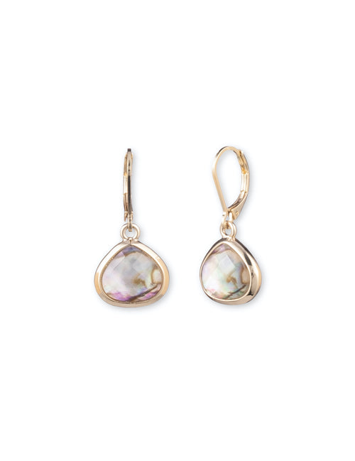 Anne Klein Multicolor Abalone Stone Gold-Tone Drop Earrings